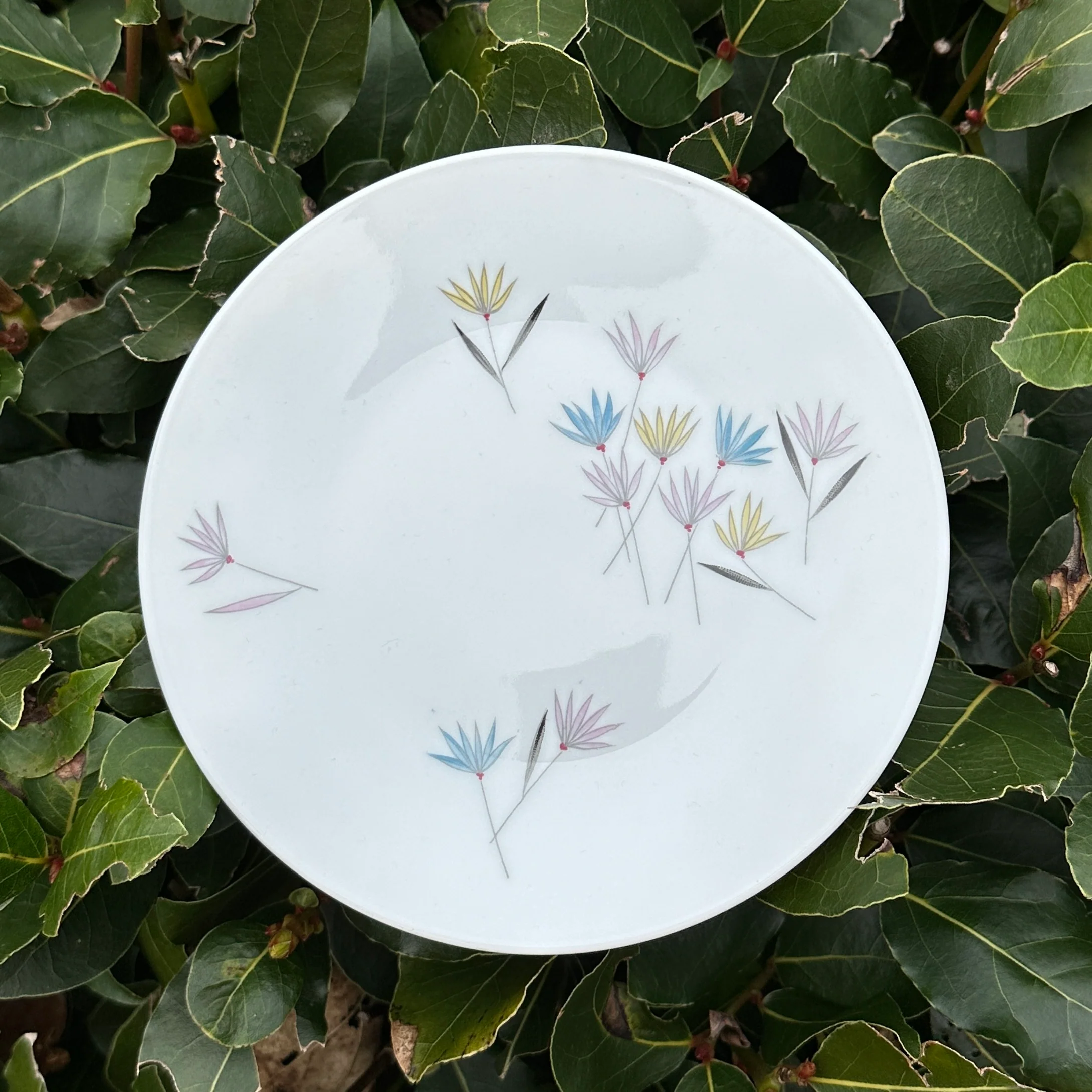 1950's Rosenthal Form 2000 Blütenspiel - Image 2