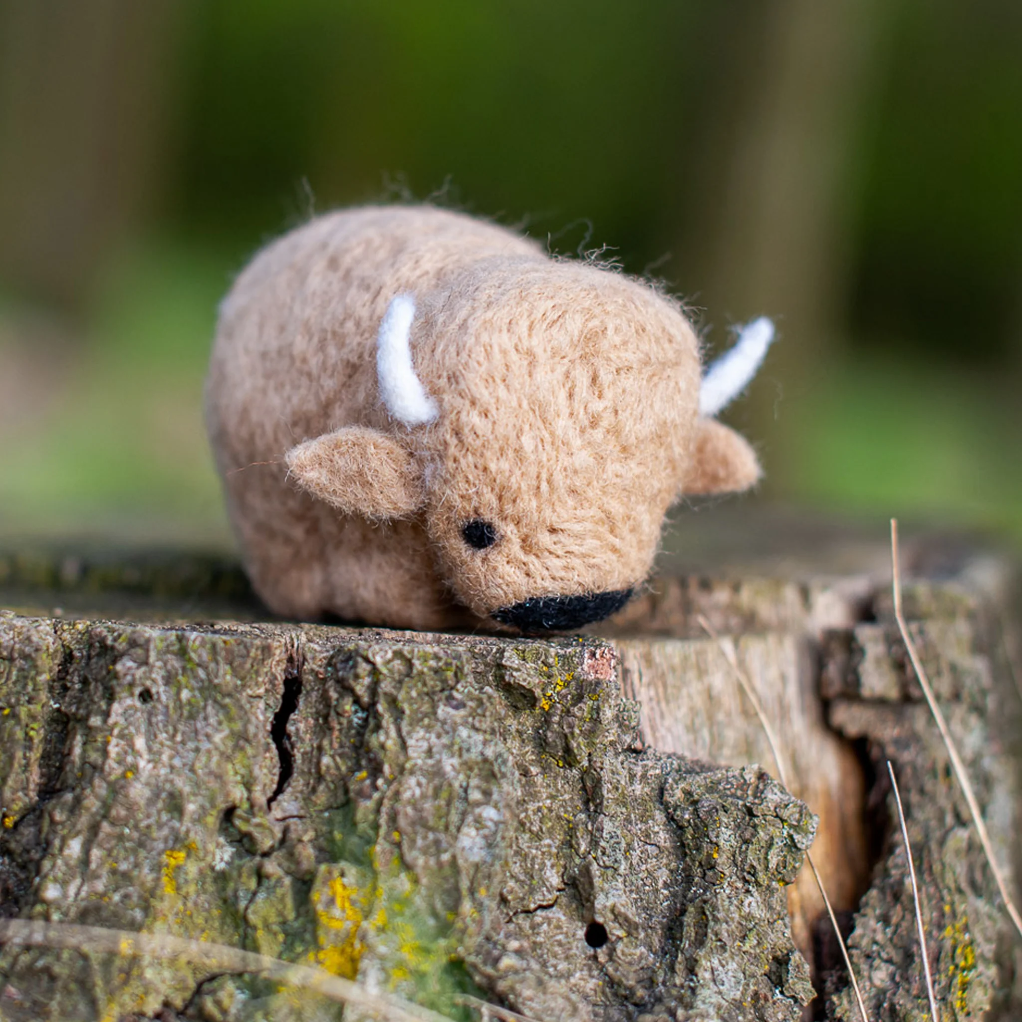 Bison Felting Kit